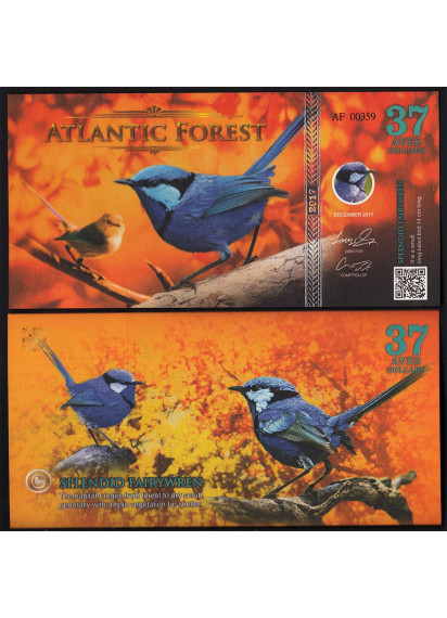 FORESTA ATLANTICA 37 Aves Dollars 2017 scricciolo azzurro splendente 
